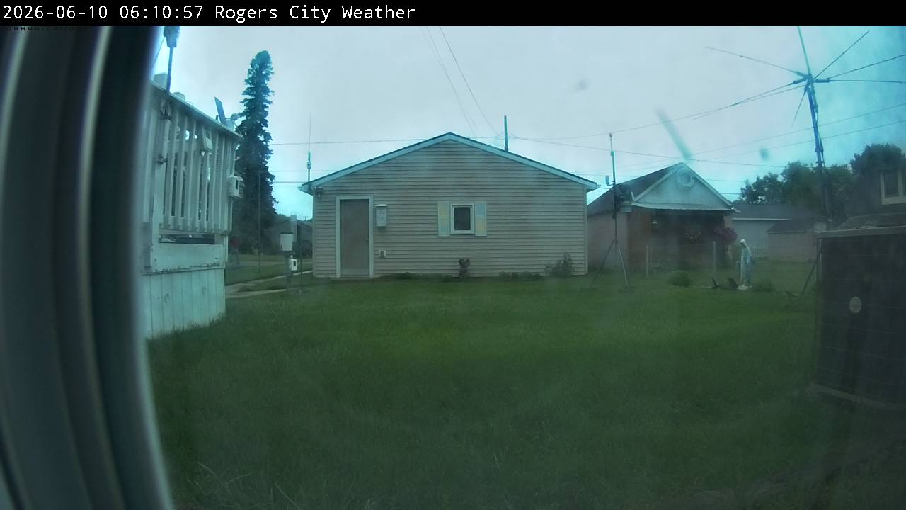 Backyard Image