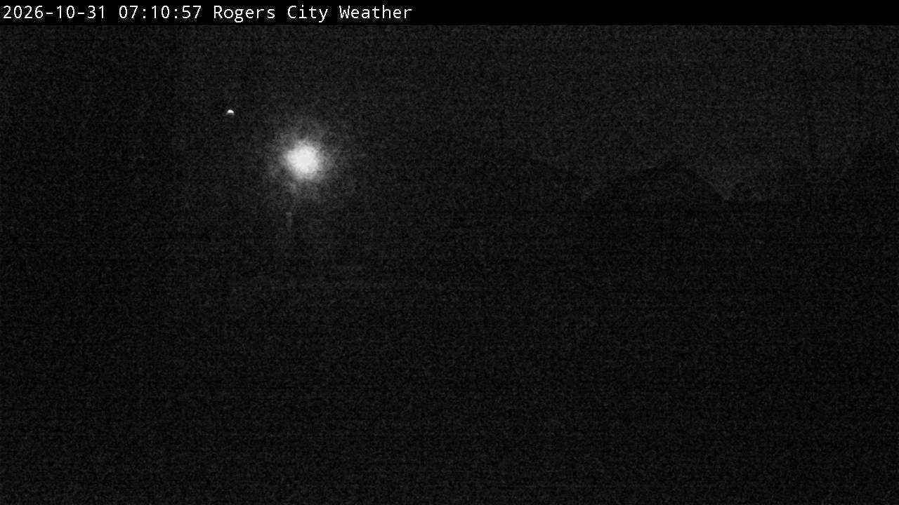 Backyard Image