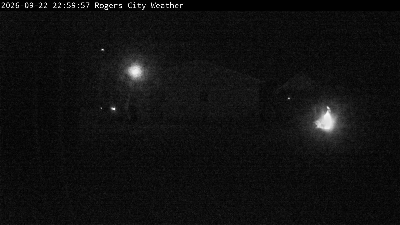 Backyard Image