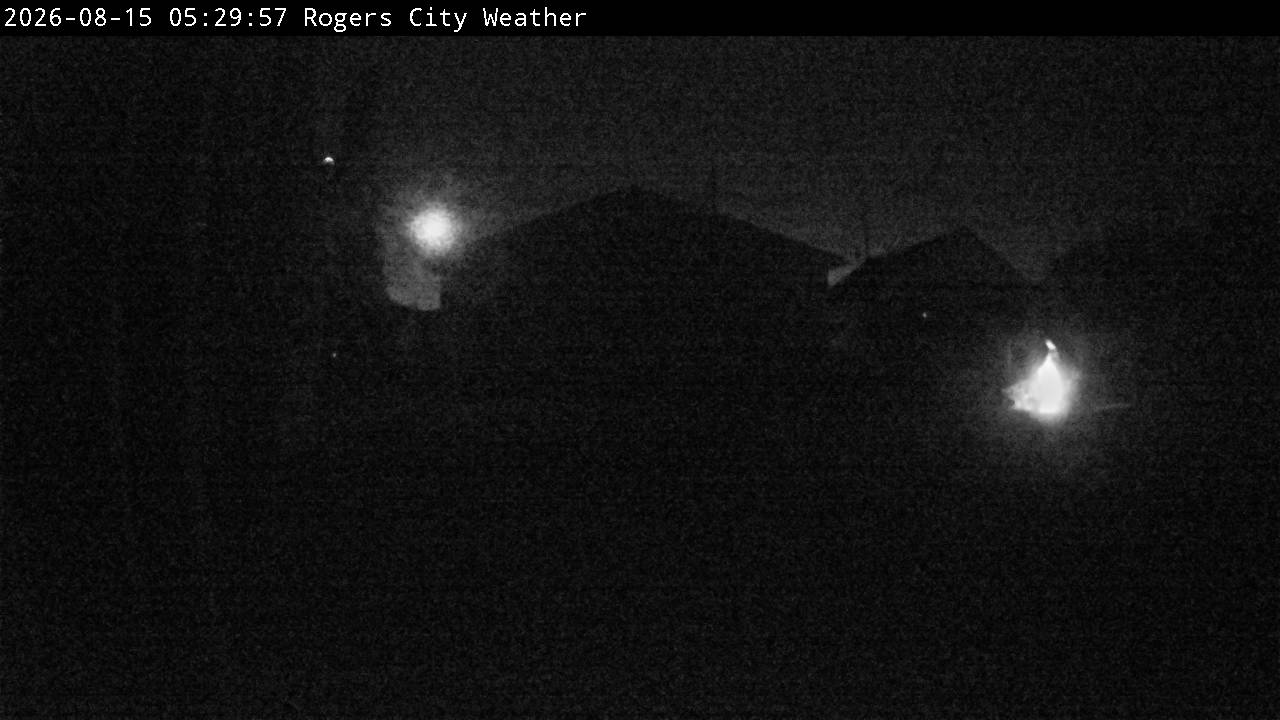Backyard Image